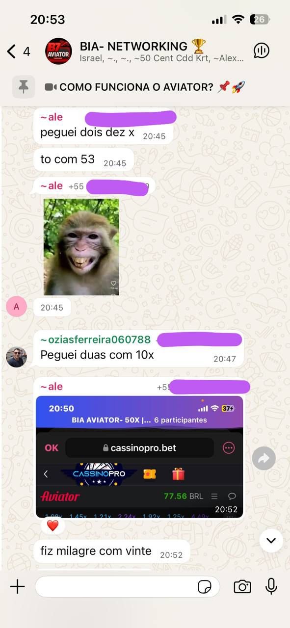 WhatsApp Image 2025-12-30 at 18.40.30 (1)